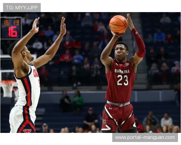 勒沃库森敲定塞尔维亚17岁锋线新星达米亚诺维奇，总价可达800万欧元